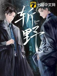 斩野TXT百度TXT