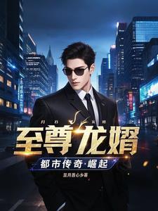 至尊龙婿笔趣阁免费阅读