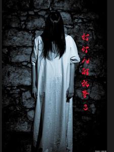 打灯笼绘本简介