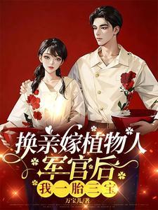 军嫂全本