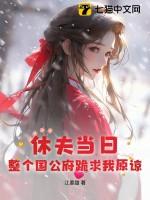 休夫免费阅读