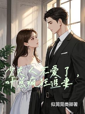 叶少您夫人跑了