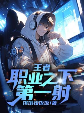 王者荣耀职业第一视角