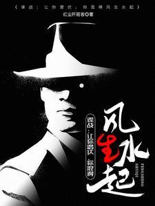谍战上海滩电视剧剧情介绍
