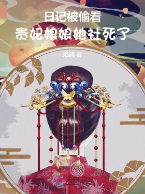 贵妃日志