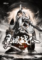 灵域战仙简介