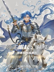 领主单机