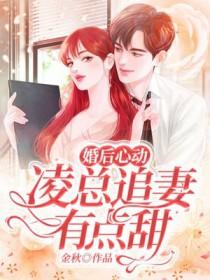 总裁弃妻 免费阅读