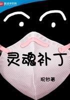 灵魂mod