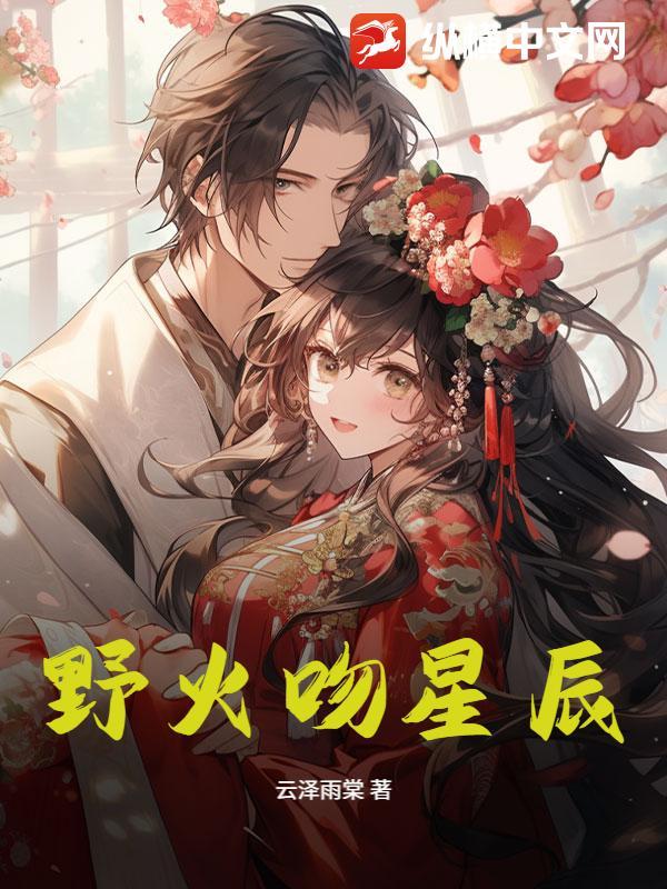 电视剧野火之恋