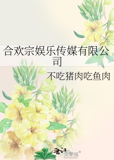 樊星娱乐传媒有限公司
