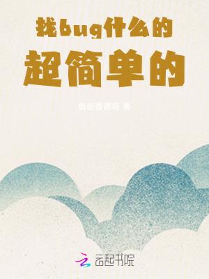 找bug的意义