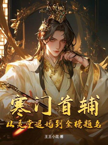 寒门首辅起点