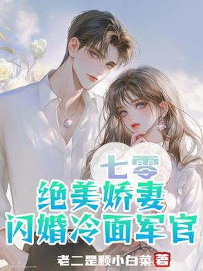 绝美娇妻闪婚冷面军官作者老二