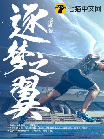 逐梦之翼的英文