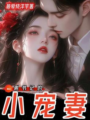 谢书记的小宠妻讲的什么