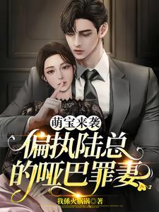萌妻来袭陆总宝贝又乖又甜