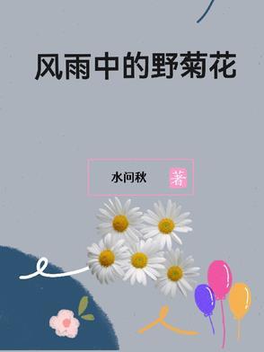 风雨中的菊花含义是什么