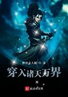 穿入诸天万界醉饮美人膝