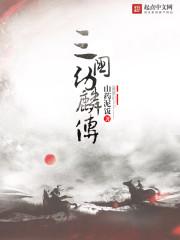 三国之幼麟传txt