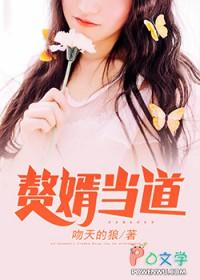 赘婿当道岳风