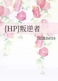 叛逆者hp