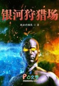银河战士prime猎人