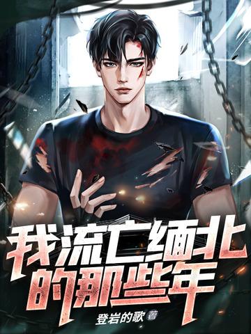 流在缅北的血完整版