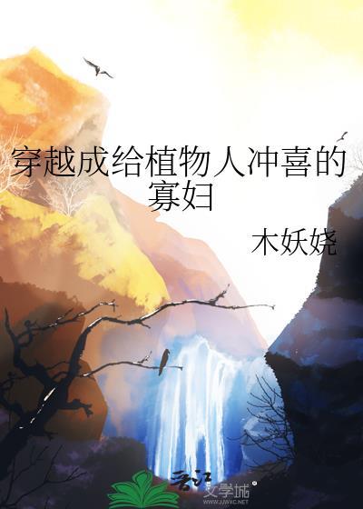 穿成植物人大佬的冲喜小娇妻全文阅读