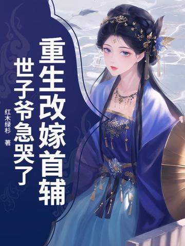 重生嫁首辅老男人