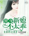替身新娘病娇总裁爱不停
