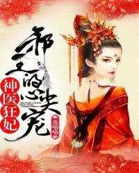 神医狂妃邪王的心尖宠妻书评