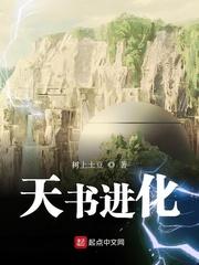 天书进化TXT精校