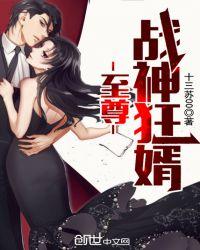 至尊战神豪婿
