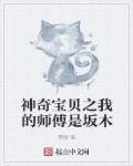 神奇宝贝之我是神奇宝贝大师