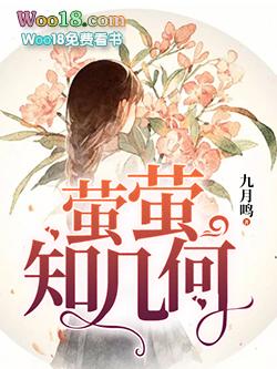 萤萤的光是什么意思