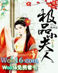 极品小夫人性HD