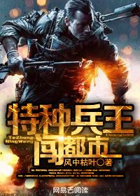 特种兵王闯都市 风中枯叶