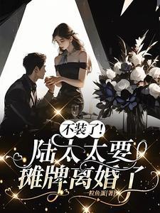 陆太太是捡来的全文免费阅读