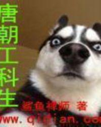 唐朝工科生评价