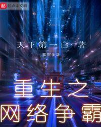 重生之网络争霸txt精校