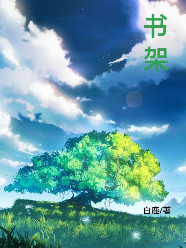 书架的量词