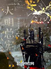 大明总督的