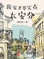 我家老婆实在太安分TXT