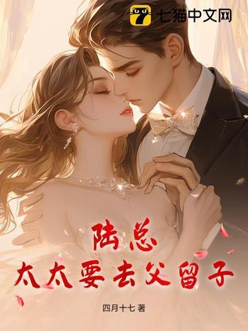 太太要去父留子