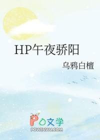 午夜阳光原著