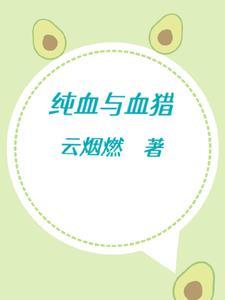 纯血巫师是什么意思