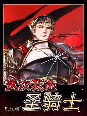 圣骑士选什么职业