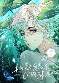 排球少年和网球王子哪个好看