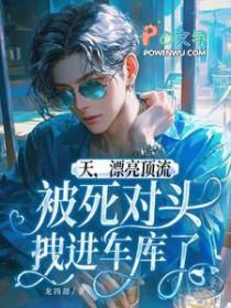 漂亮顶流被死对头拽进车库了(239)